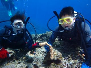 始めても大丈夫