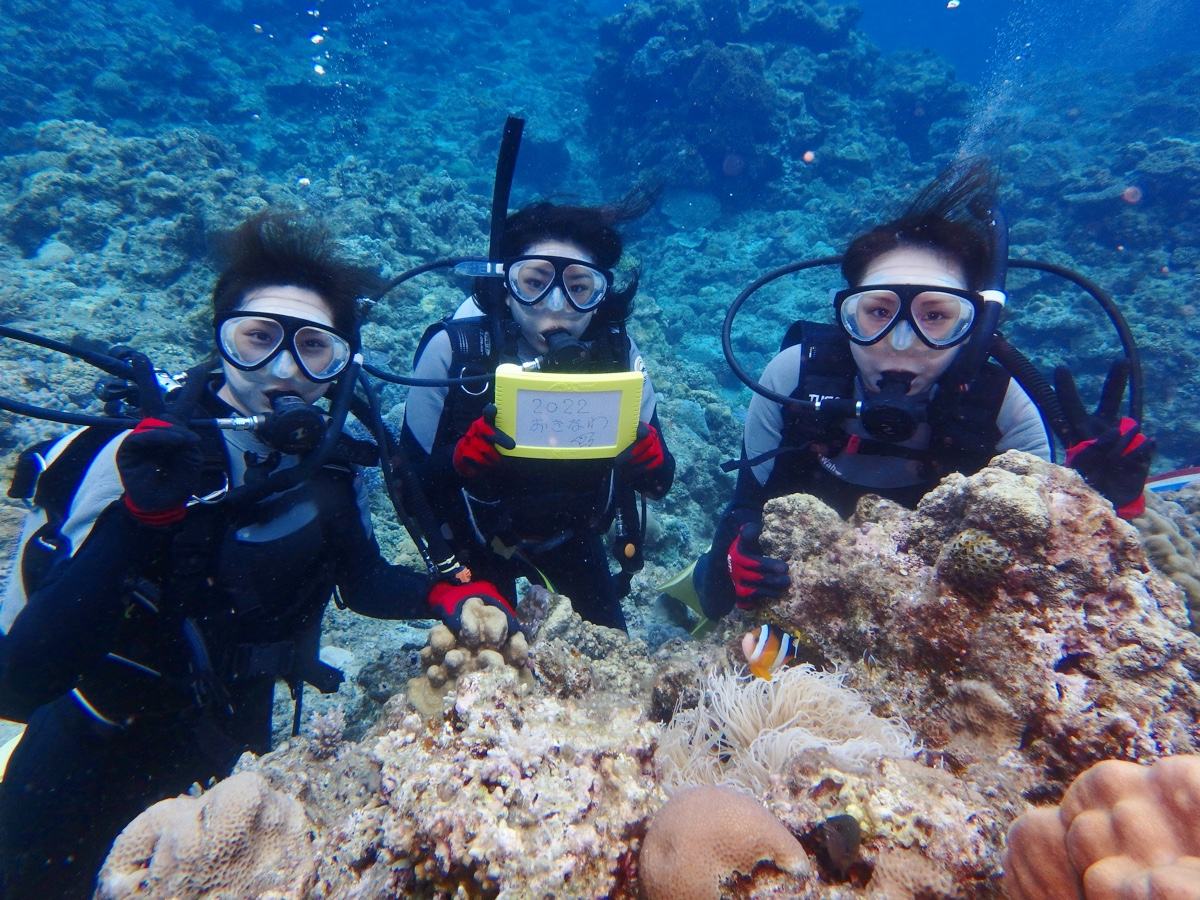 �݂�Ȃł킢�킢