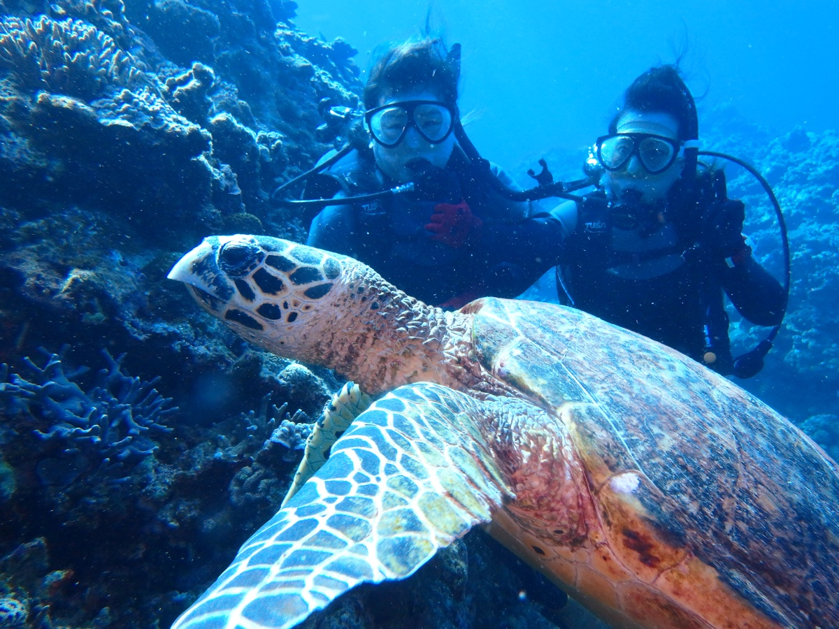 �^���ǂ���΃E�~�K���ɉ�܂�