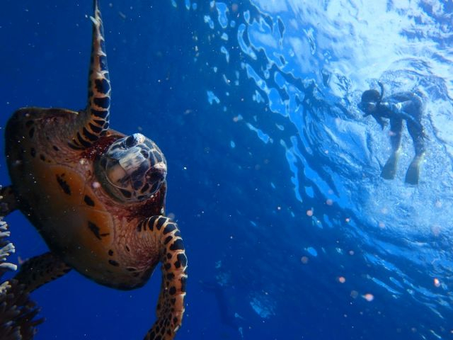 �^���ǂ���΃E�~�K���ɂ���邩��