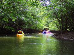 竹富町 八重山郡 のカヌー カヤックランキングtop10 じゃらんnet