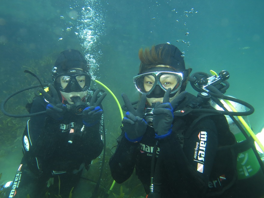 マイダイブ MyDiveの割引プラン