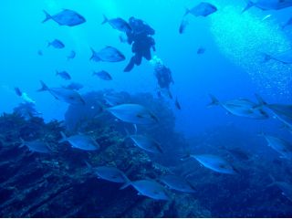 ボートダイビングです♪