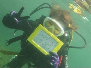 楽しくスキルを磨きましょう!