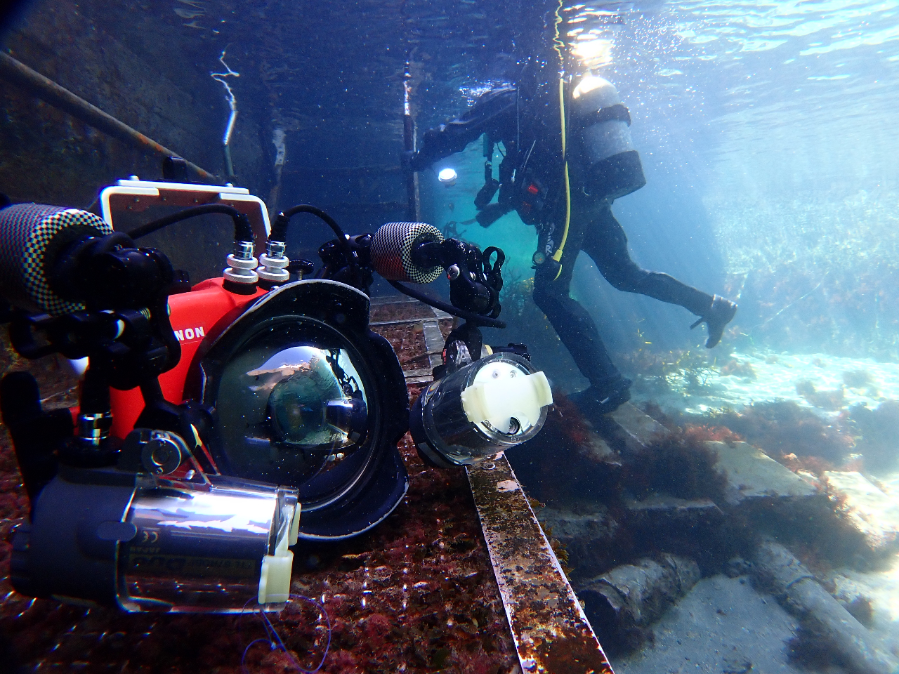 アドバンス取得コース・2日間】都内から日帰りで取れる！水深30m、海