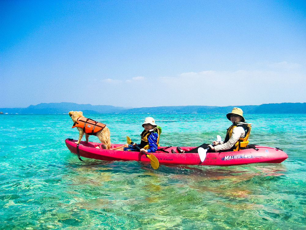 小さいお子様も安心して楽しめるカヤック体験です。