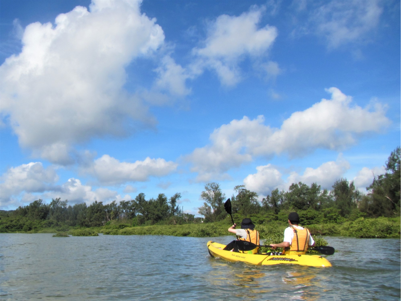 HnCł͊Cݐ̗΂ɖȂAJbNy߂܂B