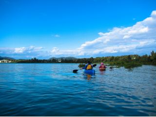 マングローブ林の中をゆったりカヌーで進みます。