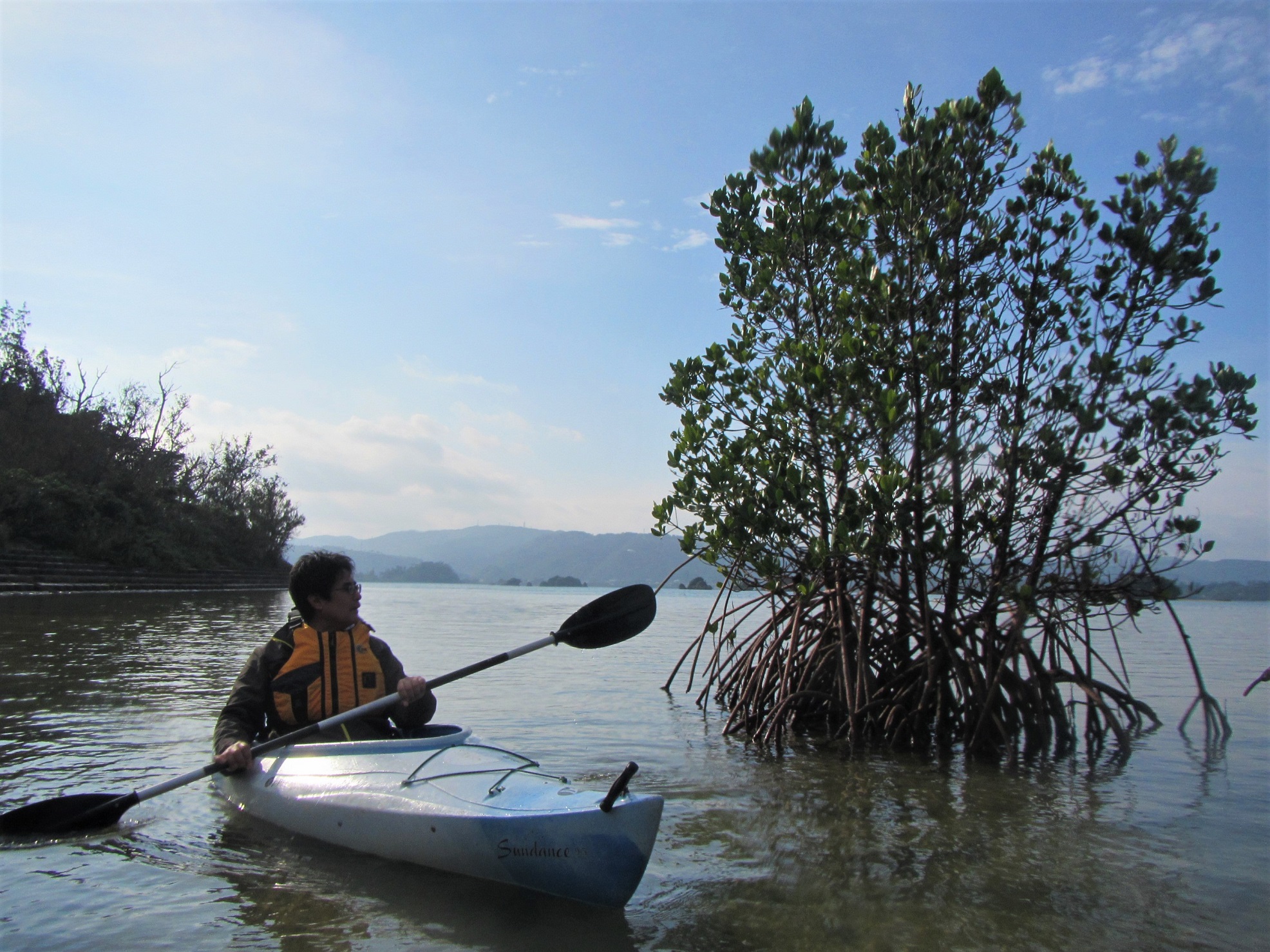 ނɂĎpႤ}O[uB̓G}qMB