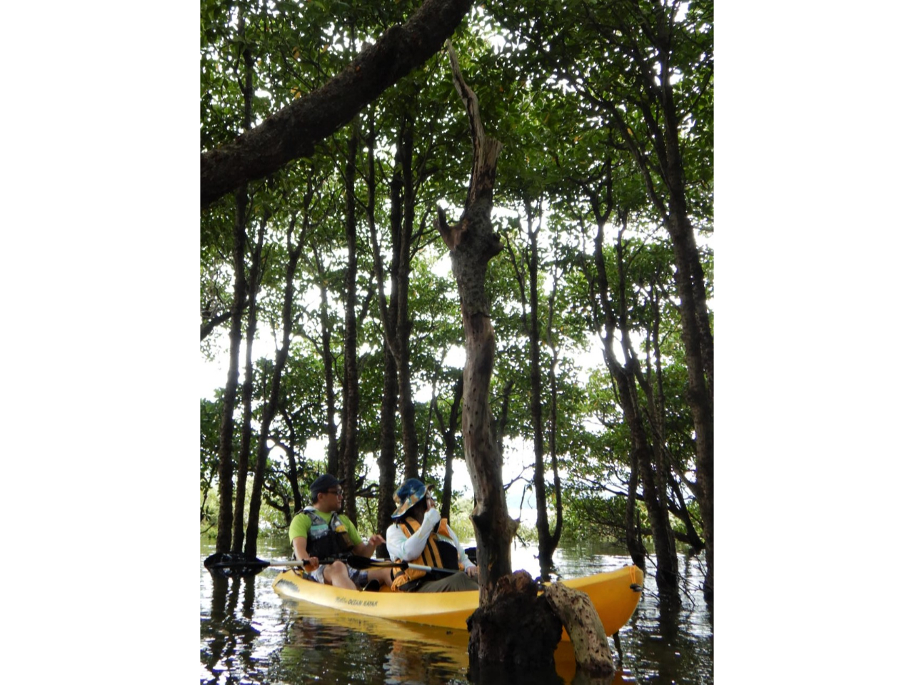 10[g𒴂IqMт̒ł͐Xтł܂B