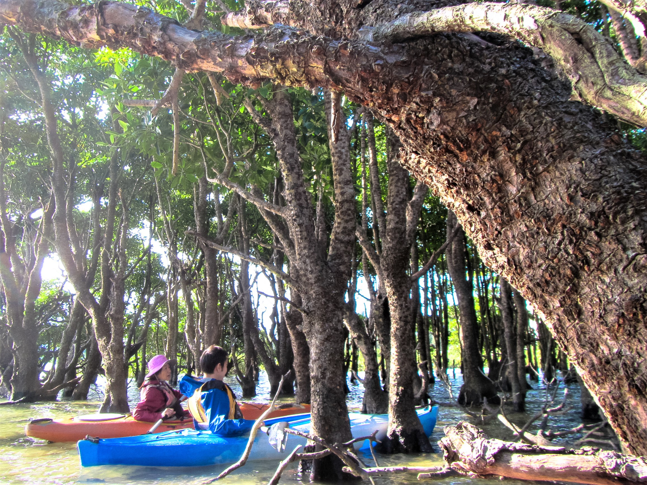 C̒̐XłBЂƂłQł܂B