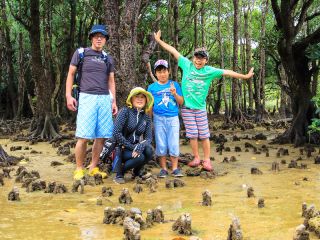 沖縄本島最古のマングローブの森を徒歩で散策します。
