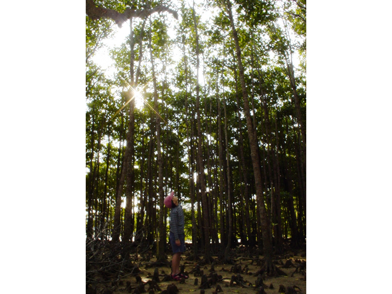 10[g𒴂IqMтɂƂBC̐XŐXїy߂܂B