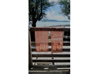 思い思いの柄をイメージして、マングローブ染めを作ります。世界にひとつだけの作品ができあがります。