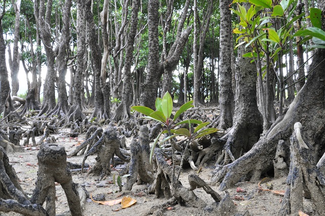 }O[uUł́AɎgIqM̖؂ۂɌ邱Ƃł܂B