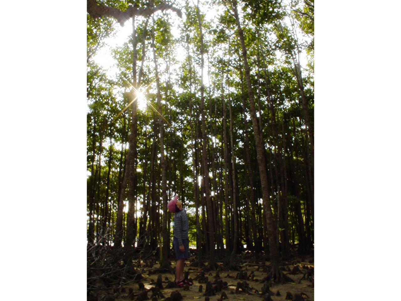 10[g𒴂IqMт̒ĎU􂵂܂BC̒̐Xł͂Ȑɏo܂B