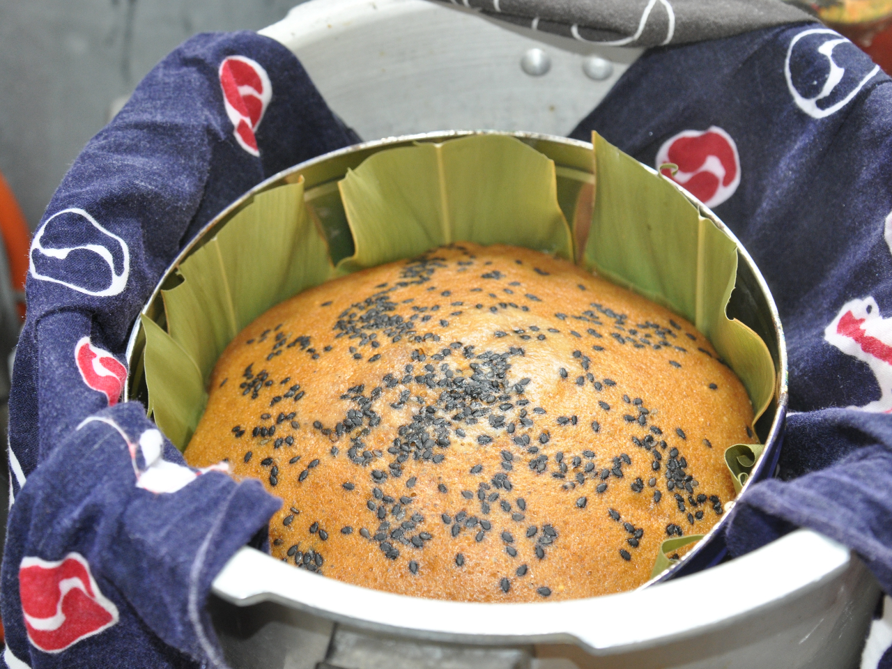 XC[c̓AKT[ipj܂B̍ɂƂ肵܂B