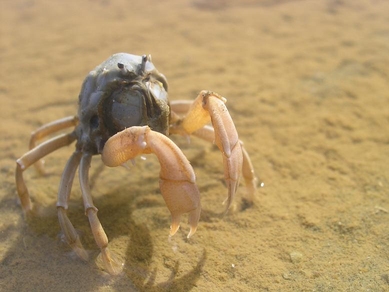 ~i~RcLKjBΌقǉvĂAI