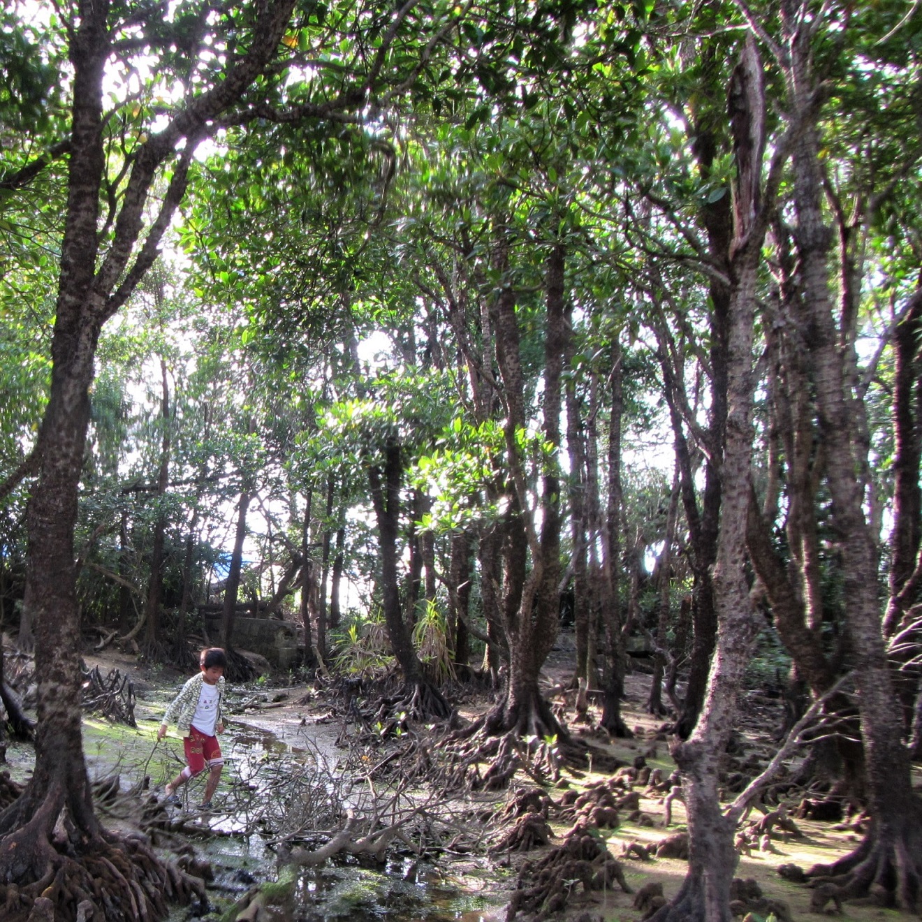 q̐gyɒEXIǂȂ鐶񂢂܂B