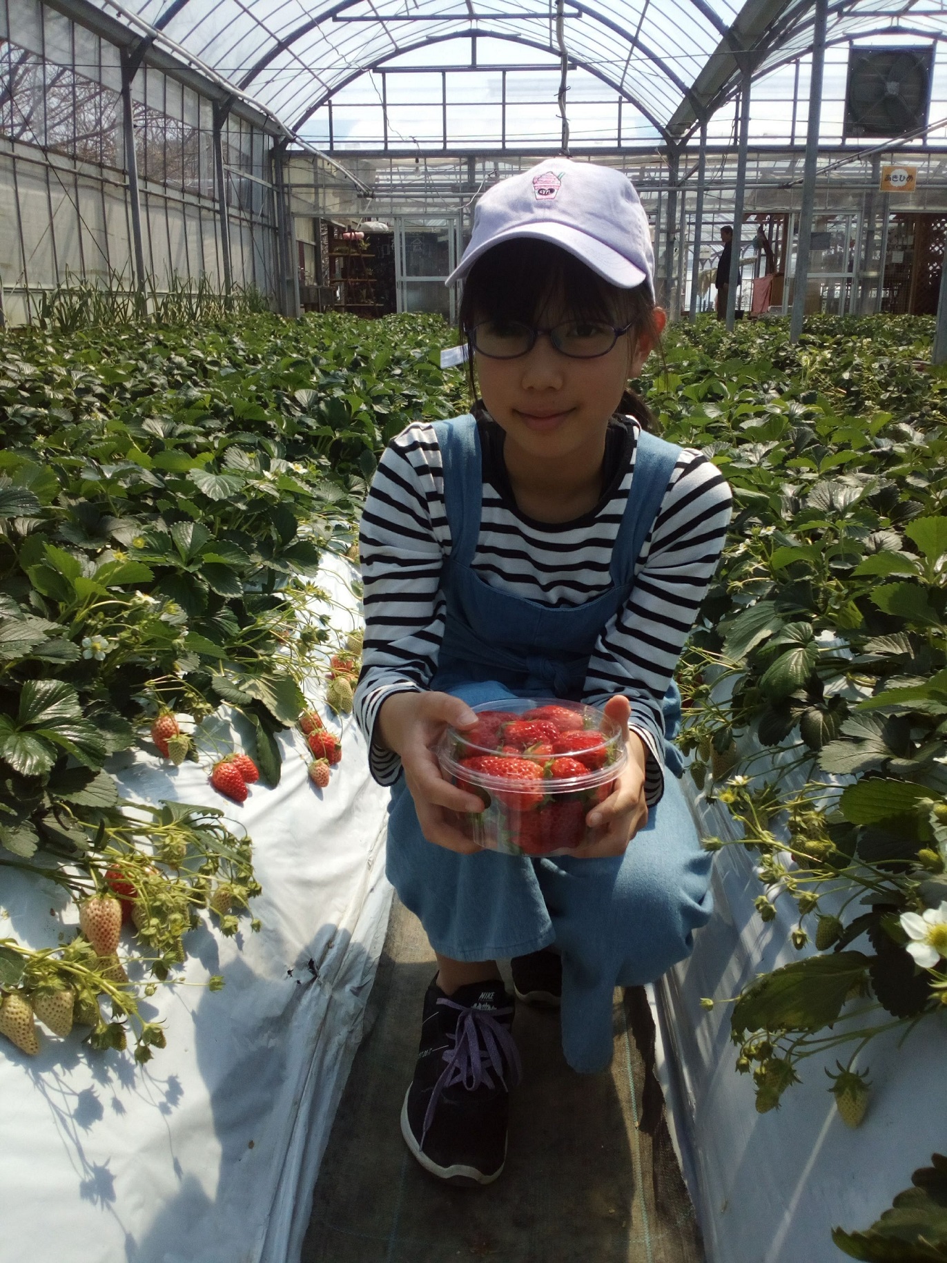 qlgłDȕiIѐpeɓEݎĂAyYɂA肵Ă܂