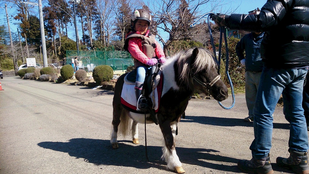 ɏꂽˁIIINAĂ邩|Ȃ`