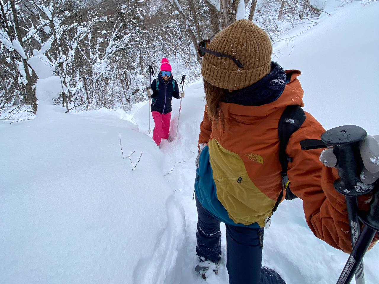 ARiށI@bŽXm[V[̊ŷ݂ЂƂłBVXm[V[œނƂŁASVǒ邱Ƃł܂B