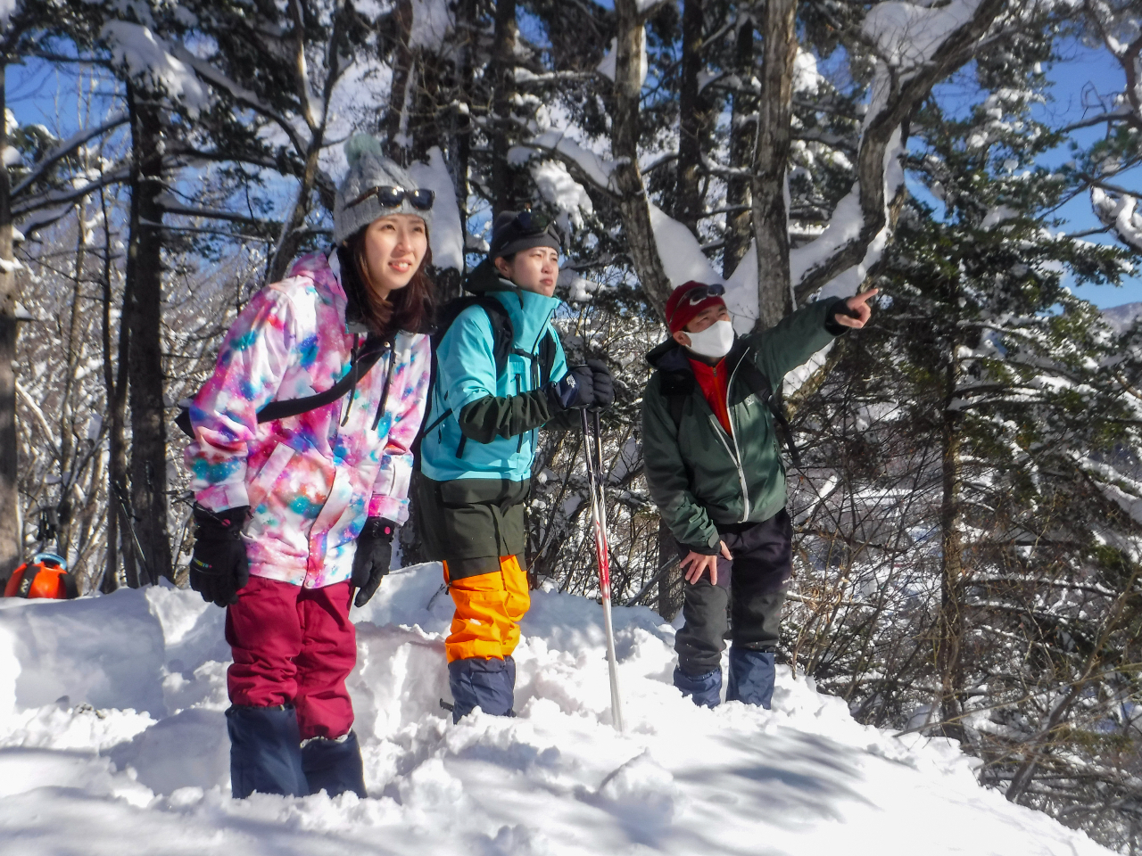 RLȂ݂Ȃݒł́A傫ȃui̖؁XN}̒܍邱Ƃł܂B܂ARώ@lC`[cA[ɎQ邱ƂłAyԂ߂Ƃł܂