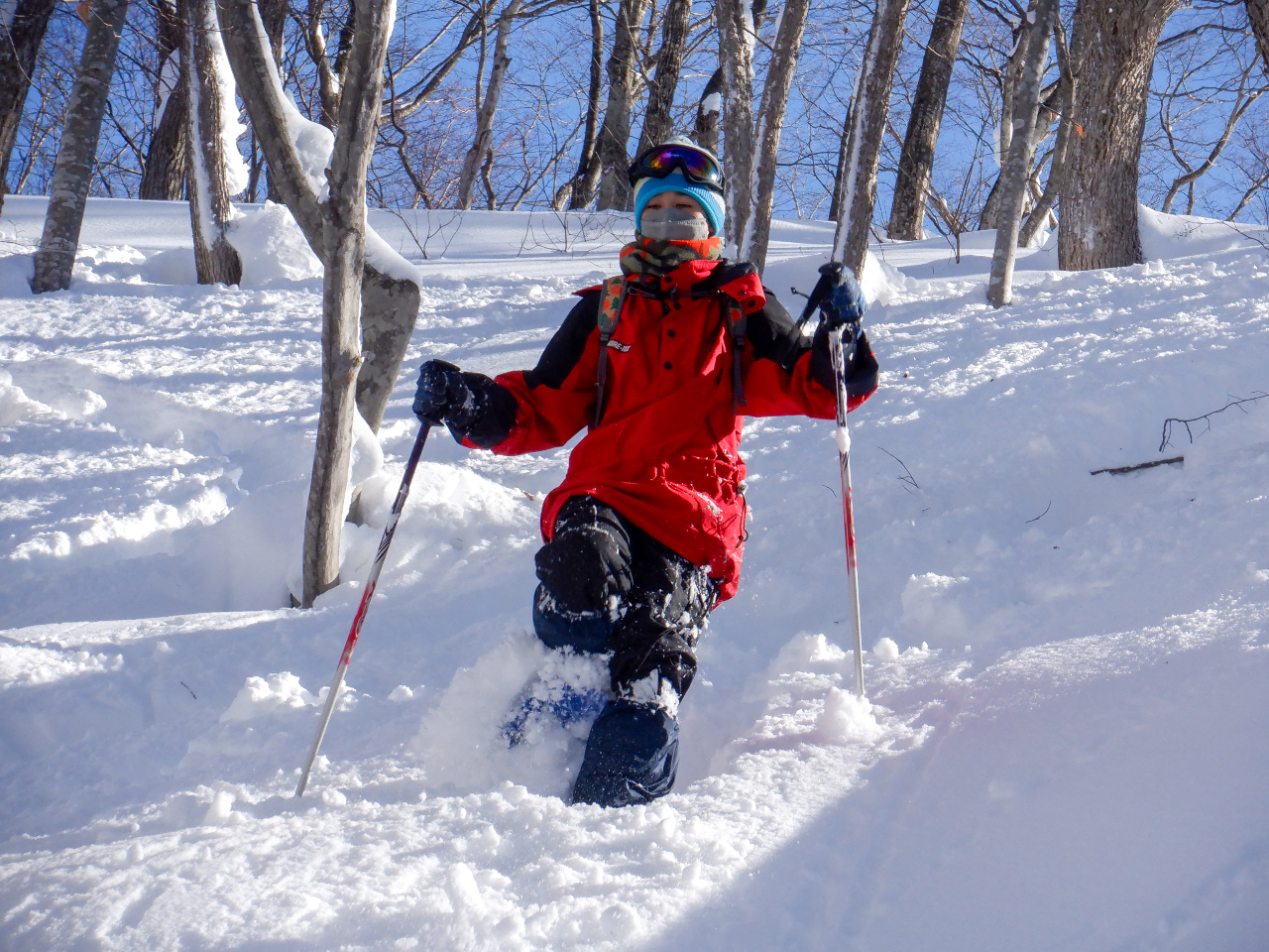 ̒ő̂𓮂ƂAhio邱ƂAXm[V[_Eq̊ŷ݂ЂƂłBɎRƈ̉ĂƂo邱Ƃł܂B