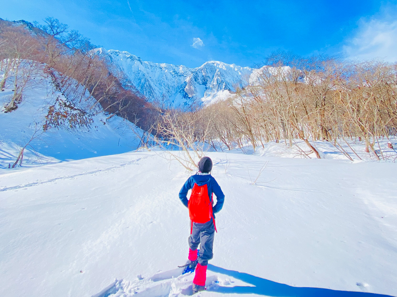 R̖LF~݂̂Ȃݒɂ́A~̎RiςLĂ܂BɕꂽRX؁XAȒ`X⡂ȂǁA҂ɔ^iłB