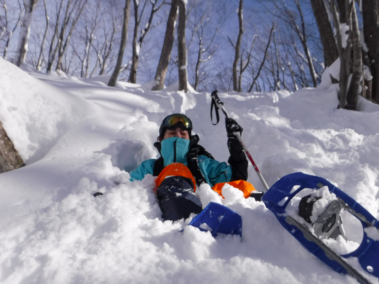 ������̐�͌Q�n�p�E�_�[�ƌĂ΂�܂��B���̒n���ō~���͓��{���\����قǁA���̍�������Ƃ��Ă��L���ł��B���܂��܂Ȉ��D�҂�������Ȏx�����󂯂Ă��܂��I