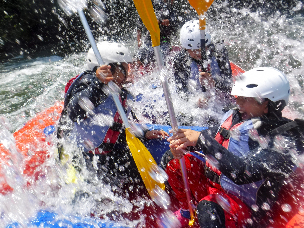 ̎ʐ^T[rXBteBO̎ʐ^́AKCh񂪎BĂ܂BcA[ɂċA܂̂ŁAcA[ɃJEX}z܂ȂĂvłB