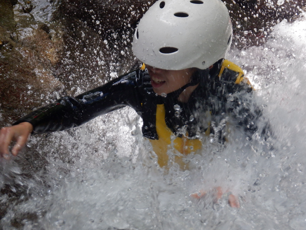 V[NC~OʂāAgɐVȒ^AgCĐ邱ƂɂA[B𓾂邱Ƃł܂B