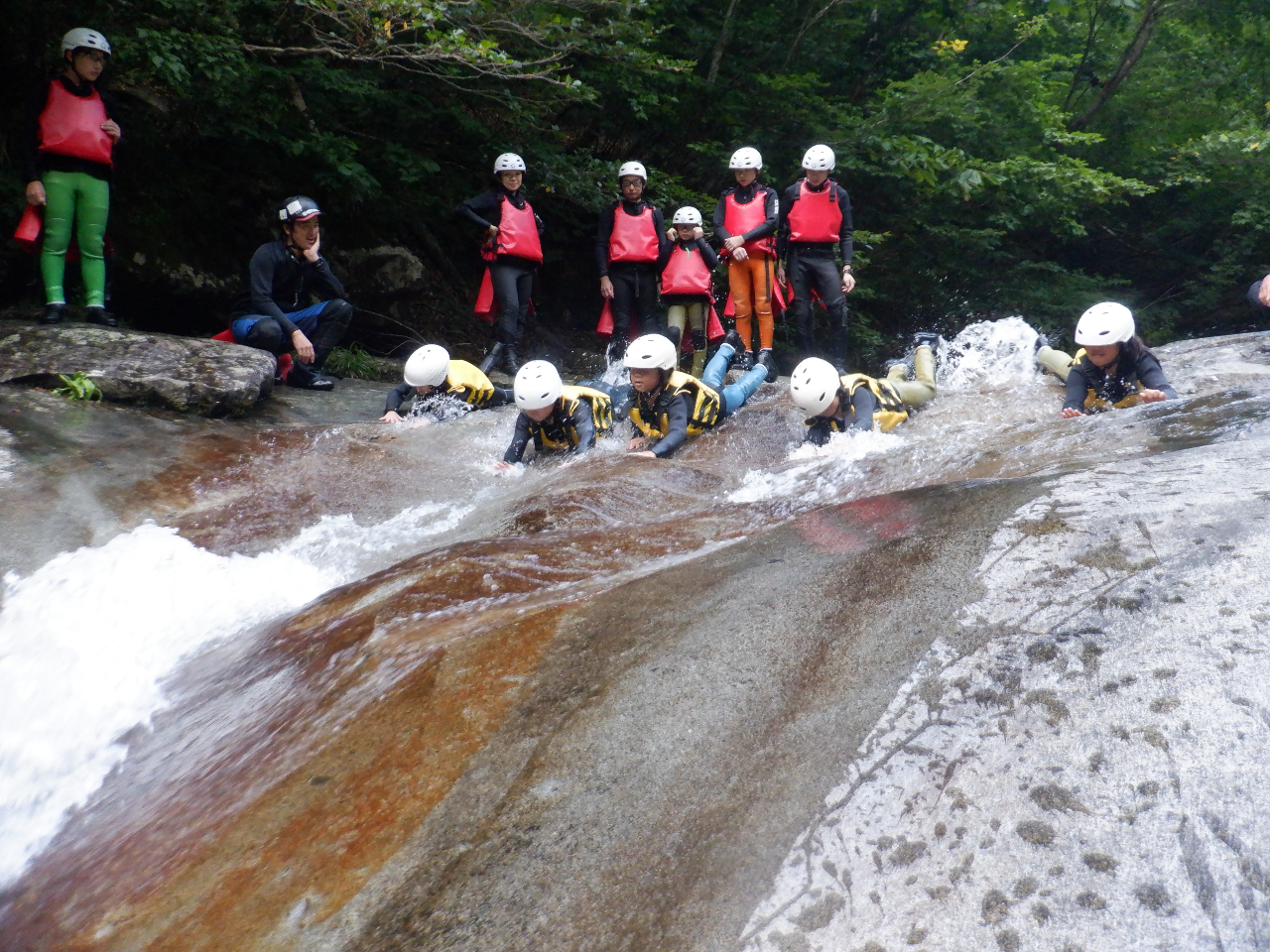 cA[ɃEH[^[XC_[RyeBVJÁIő1ʂڎw܂傤B{̗ǨA{ԂłBX^[g_bVƃtH[C|CgłB