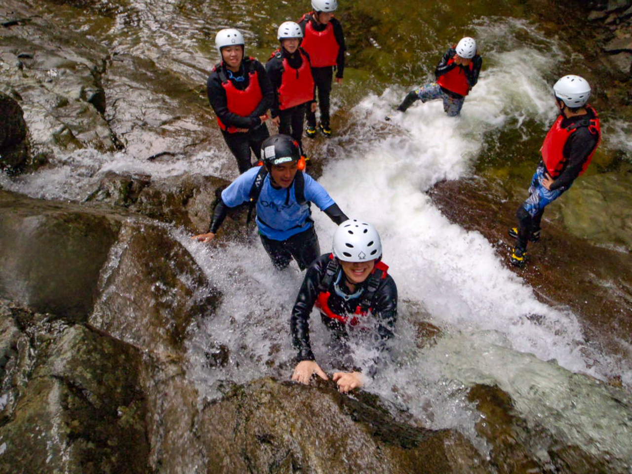 AEghAEAhx`[ɂ́AnvjO͂́BoLxȃKChAFlSɃAhx`[ANeBreByނ߂ɃT|[g܂B