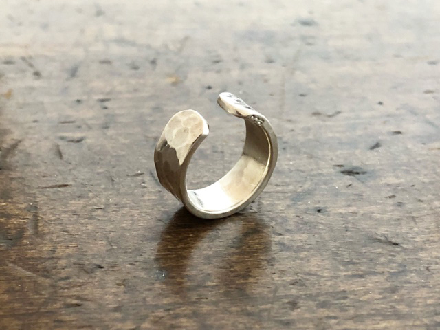 Ȗځiی^j CJtP̌ł