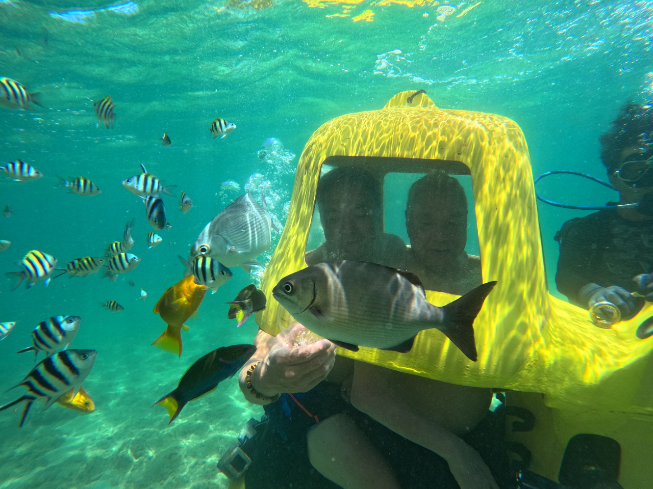 vI80΂܂ō܂܊CɐłIeFsɂ߂łI