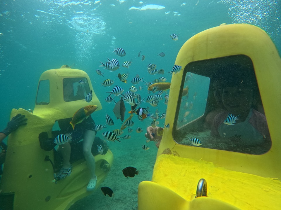 eqł̂ȂvoɁICŃg[NȂMыƐGꍇI