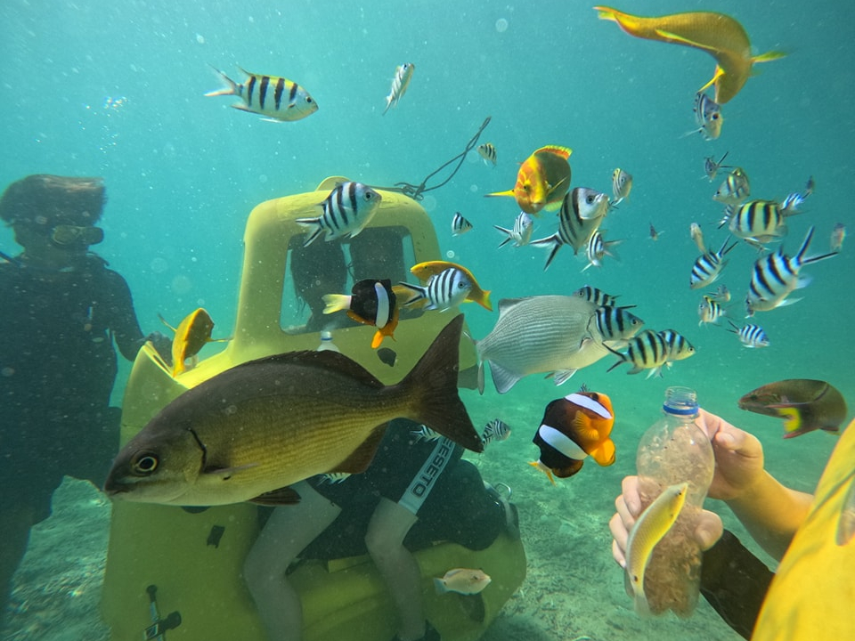 ݂āIIqǂl勻IȔMыƐGꍇI