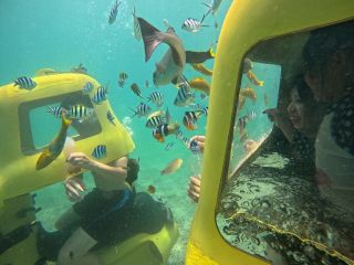 みんな夢中!真横までくる熱帯魚と触れ合えます!非現実体験を味わってみませんか?