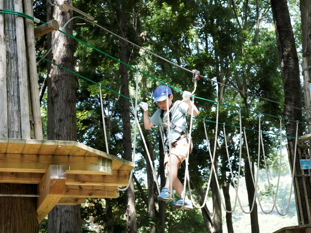 木の上の冒険者に大変身!安全装備で安心しながら、全身を使ってアスレチック体験。