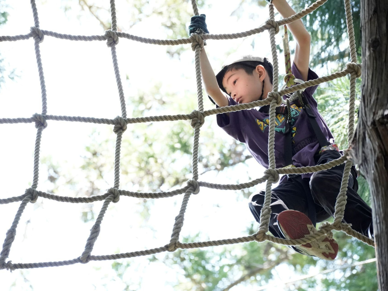 ネットを渡って、ワクワク冒険!