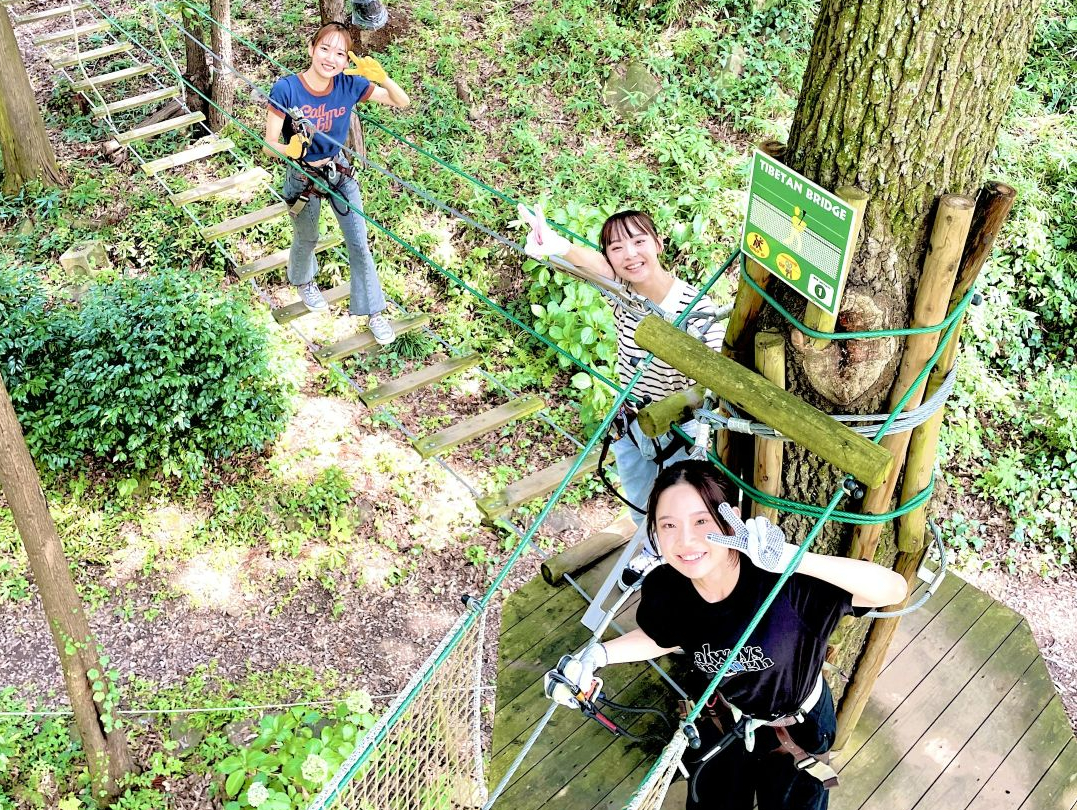 Ί炢ςIFBƈꏏɖ`^C