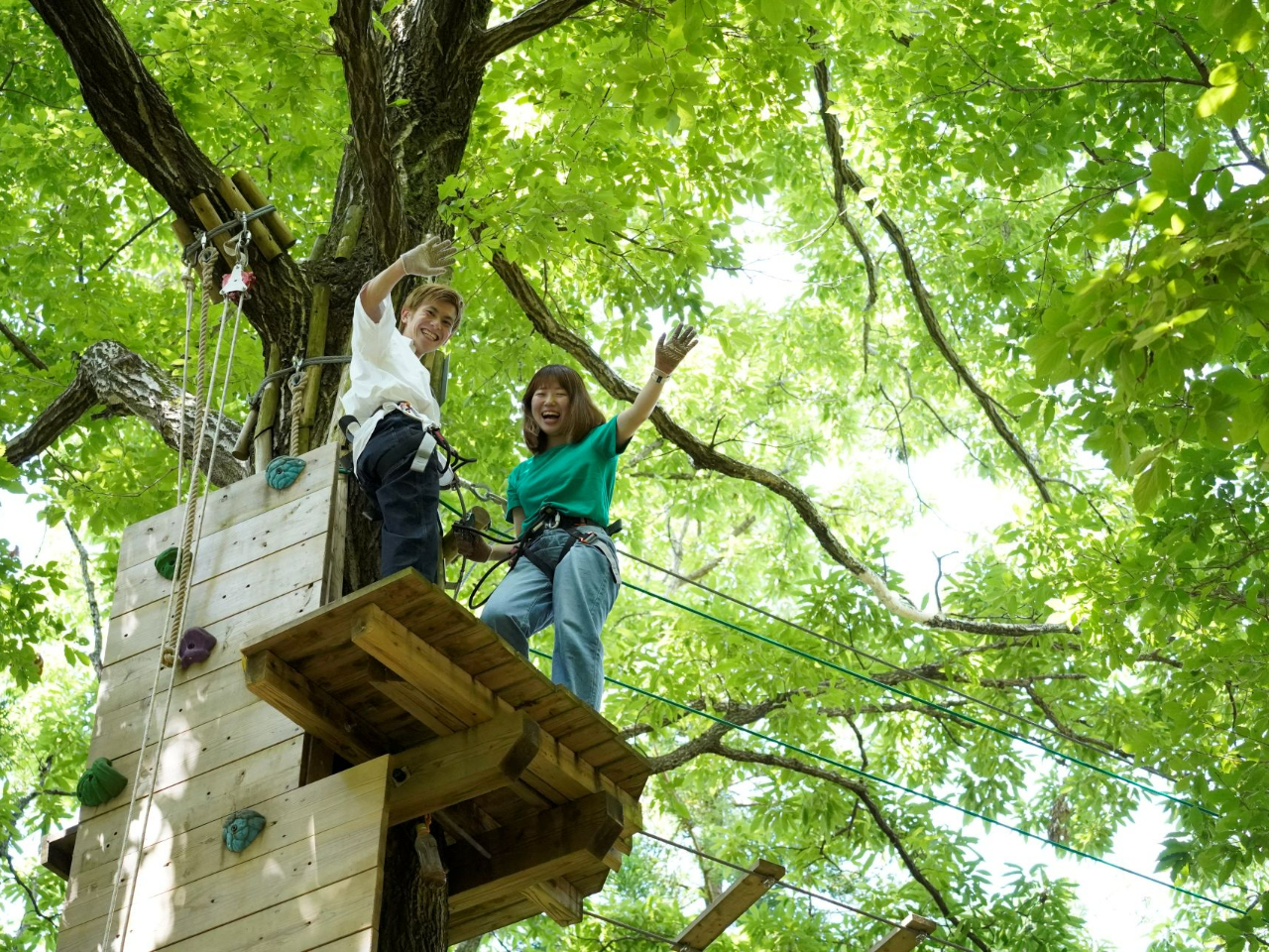 ݂炱ɂ́IƂB햡1B