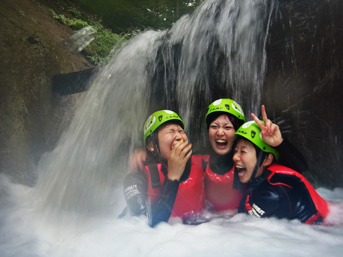 ���̉Ă͑�ŏ��q��B