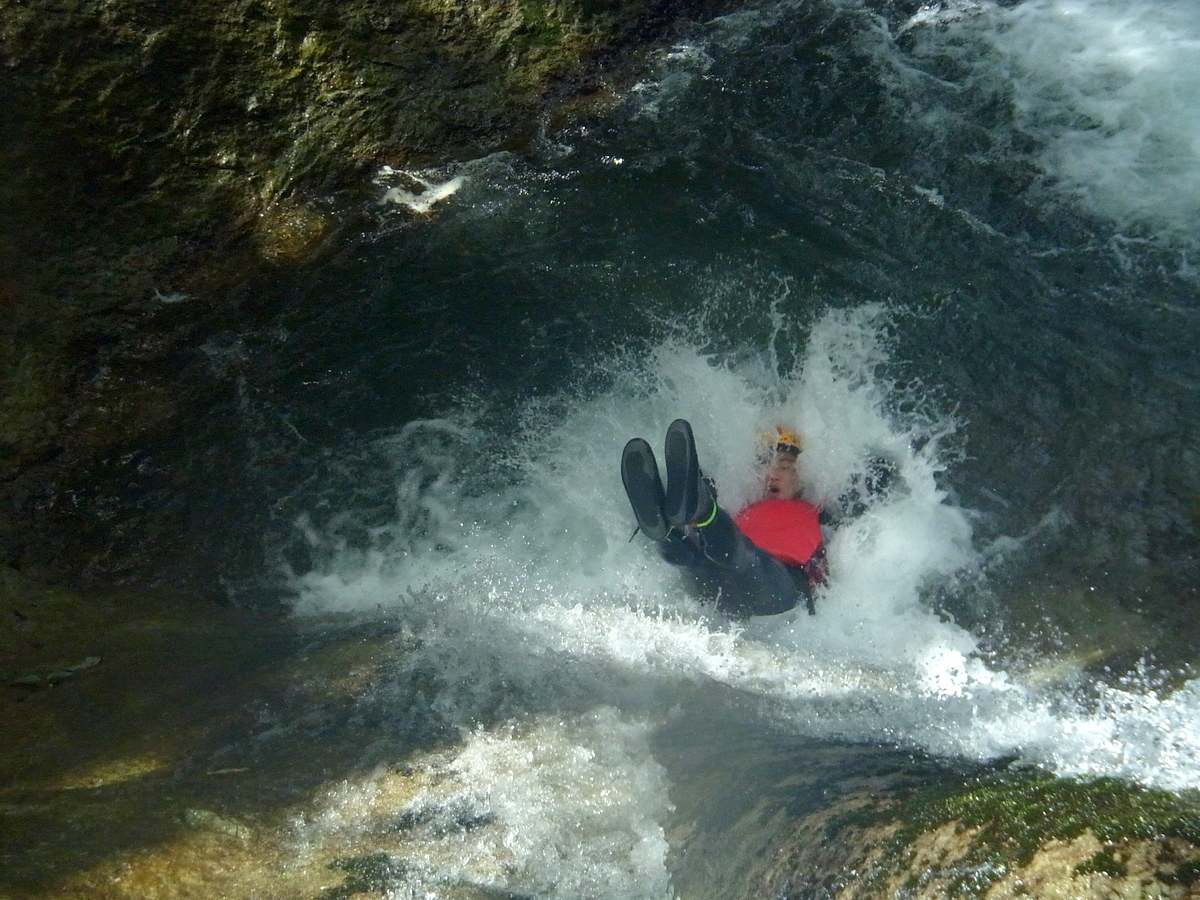 �h�L�h�L�̖`���B