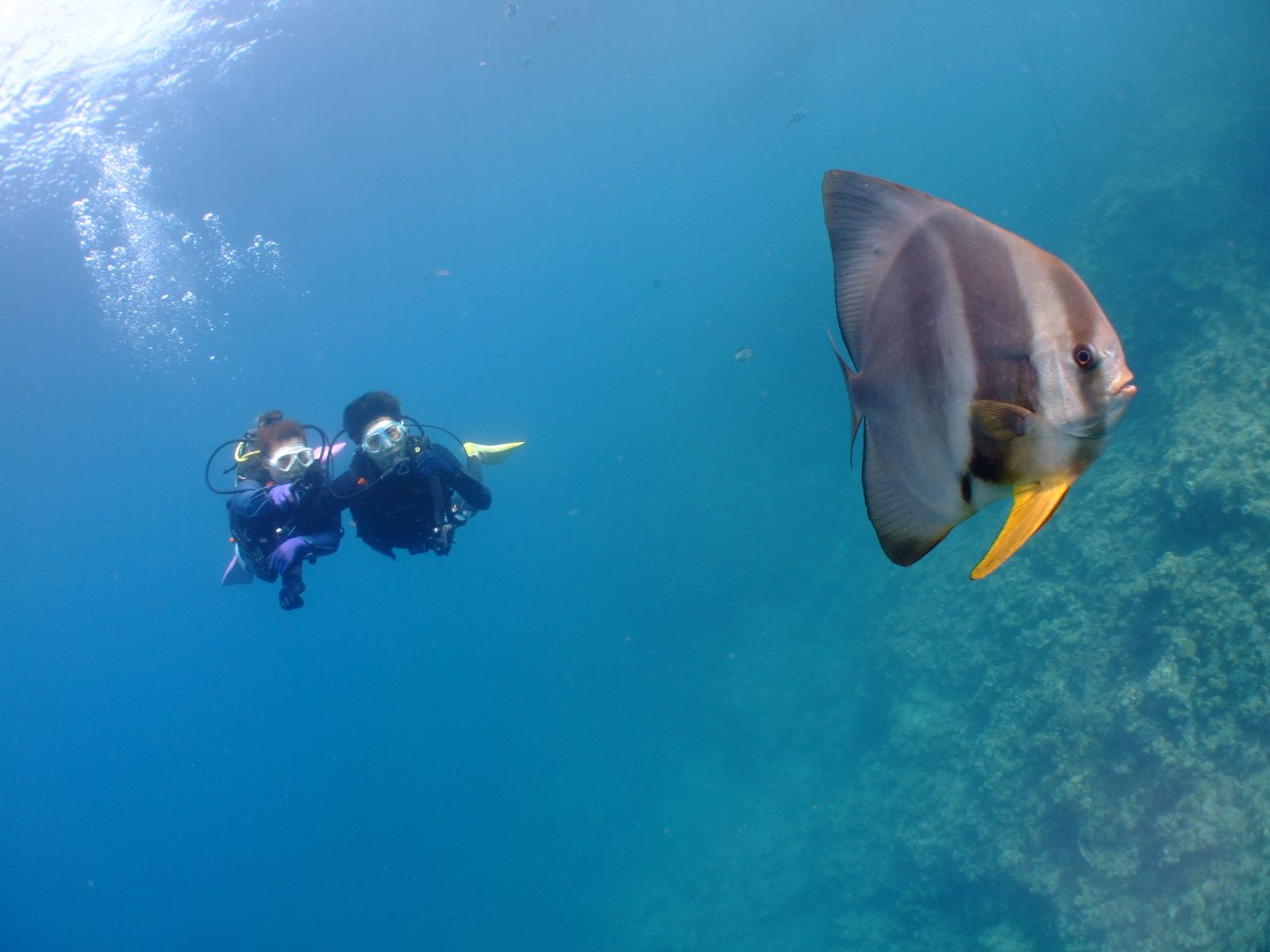1組ずつ完全貸切でご案内!余裕な方はよりゆったりとお魚さんと泳けます!!