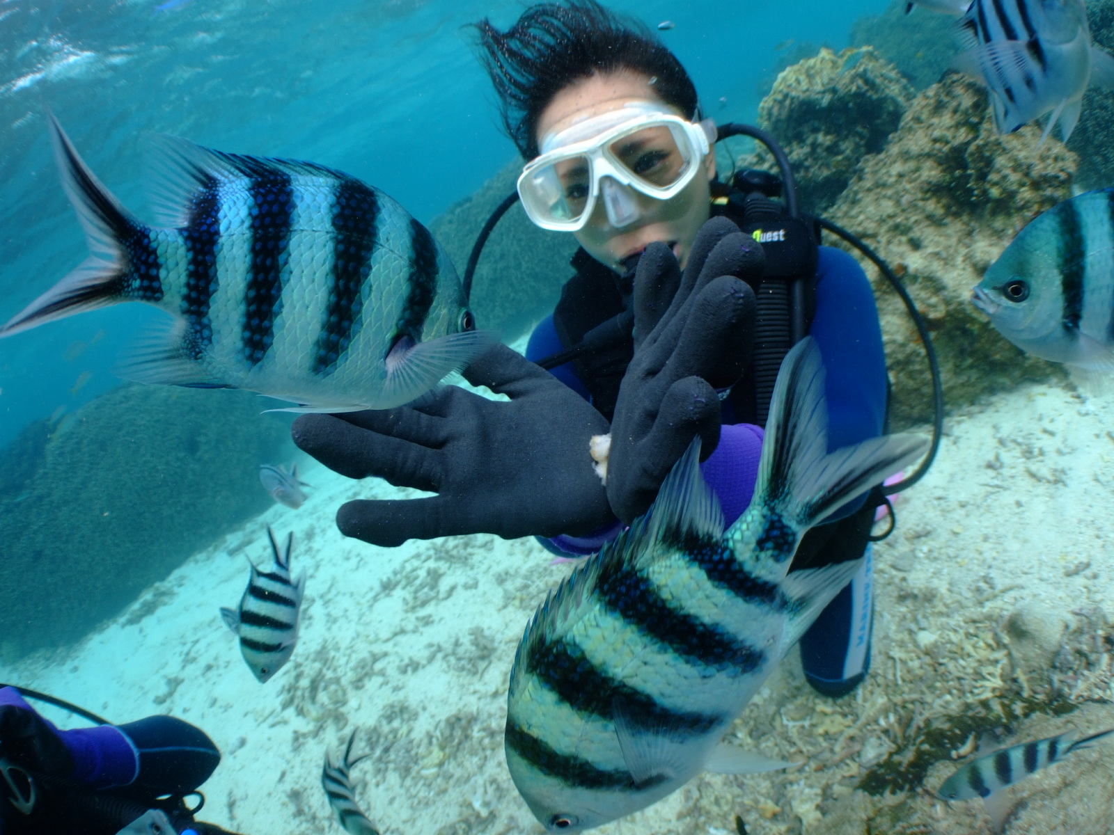 āA_CrOł͖ڂ̑O܂łߊĂĂ܂I