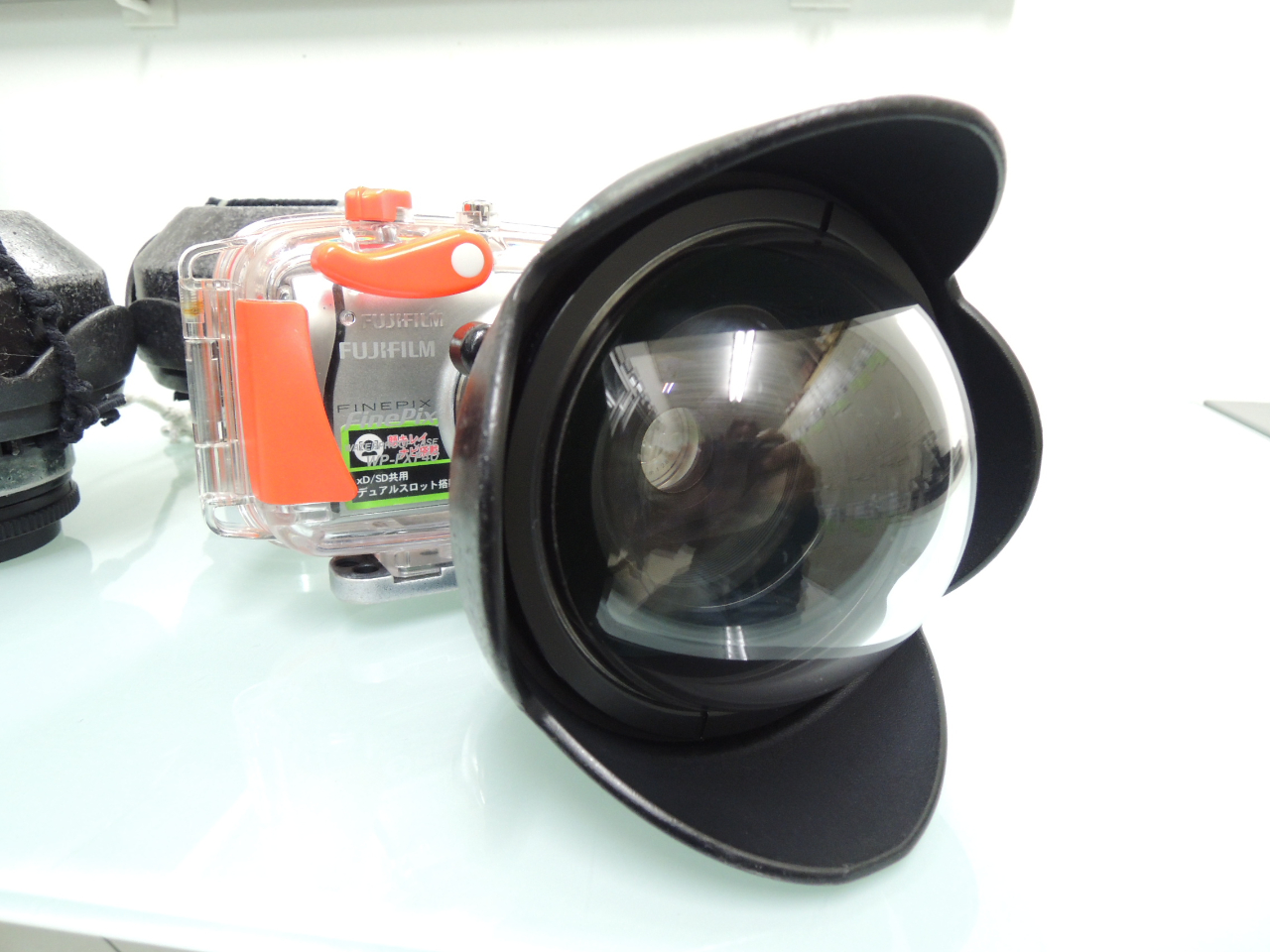 「GoProで撮影した画像よりキレイ!」とお客様から大好評の広角レンズでの撮影を実施。(GoProは水中モードの設定がない為、水中撮影には限界があります。)