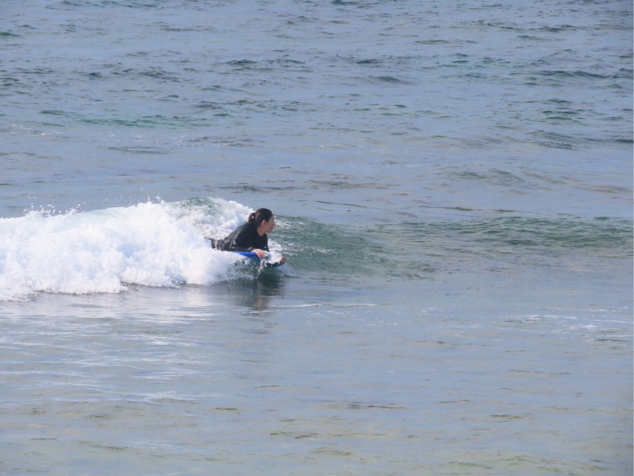 ܂ł̕lŎQĂ܂Bꏏɉ̊CŃ{fB[{[hy݂܂傤I}T[rX܂B