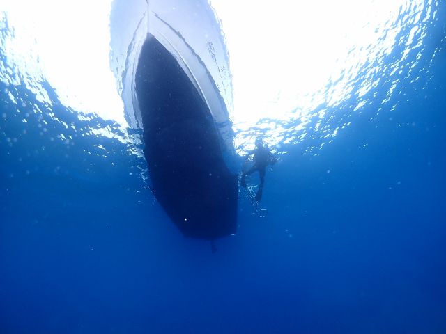 水底から見る船底